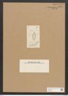 Diatomeae indet. Zeichnungen Sammlung Grunow Nr. 2475 (NHMW-BOT-W0369653)